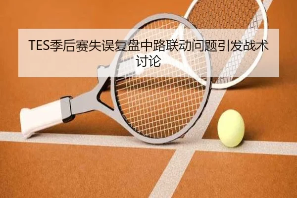 TES季后赛失误复盘中路联动问题引发战术讨论